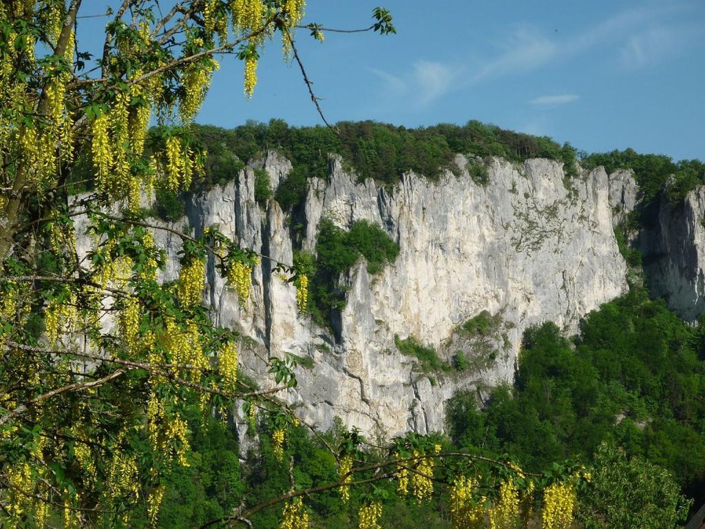 Fewo Larissa Apartment Beuron Cameră foto