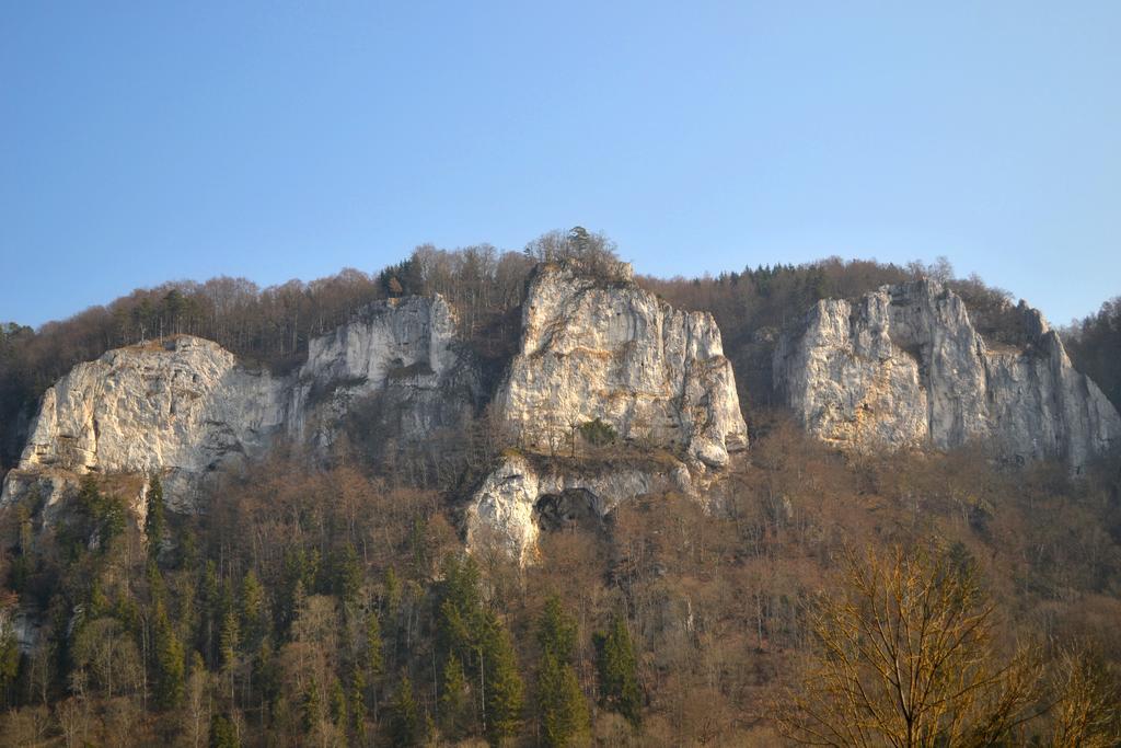 Fewo Larissa Apartment Beuron Cameră foto